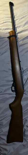 Ruger 10/22 