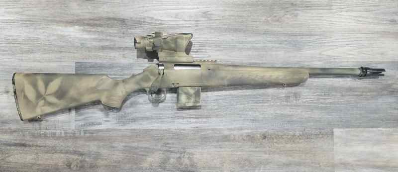 Ruger American Ranch 300 BLK with ACOG 