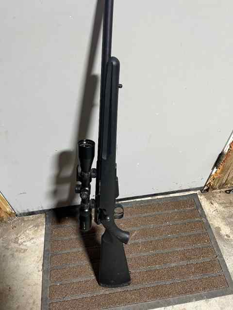 Savage Model 25 .204