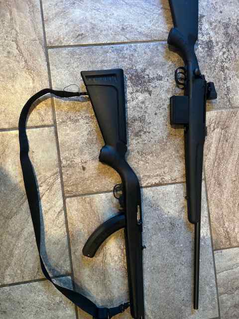 Ruger 10/22 