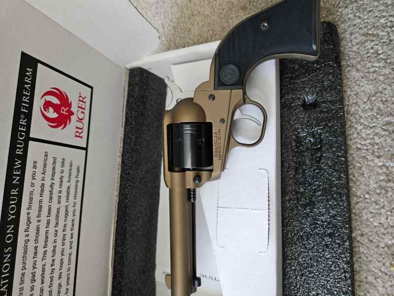 Ruger 22 wrangler 