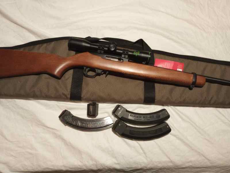 Ruger 10-22 