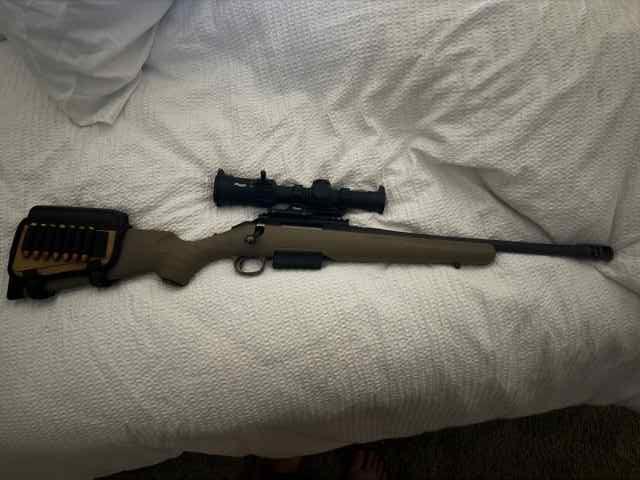 Ruger Bushmaster 450 