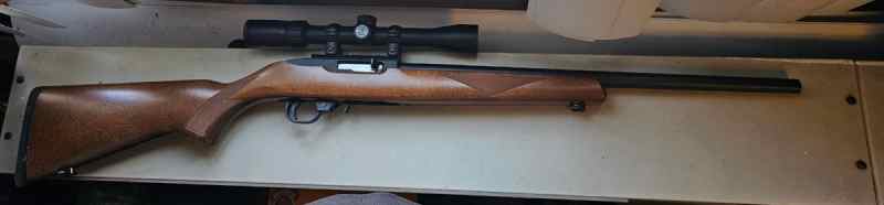 Ruger 10/22 long rifle 