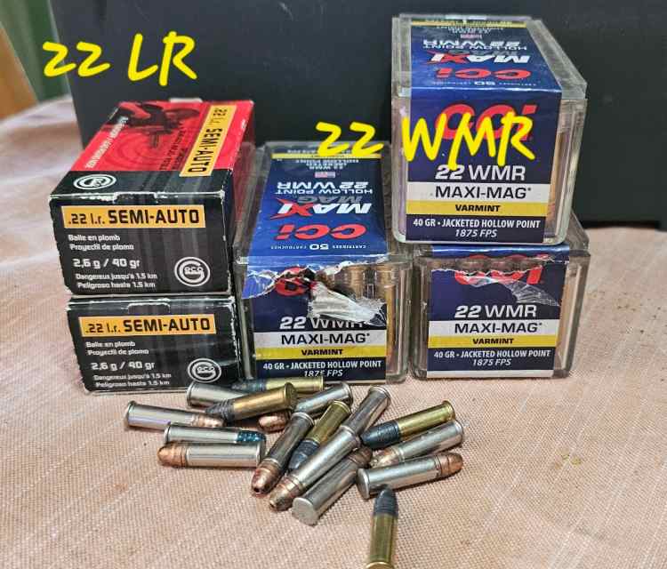 .22lr / .22 WMR Ammo lot