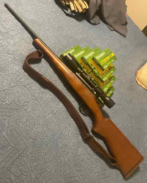 Remington model 7 .260 Remington 