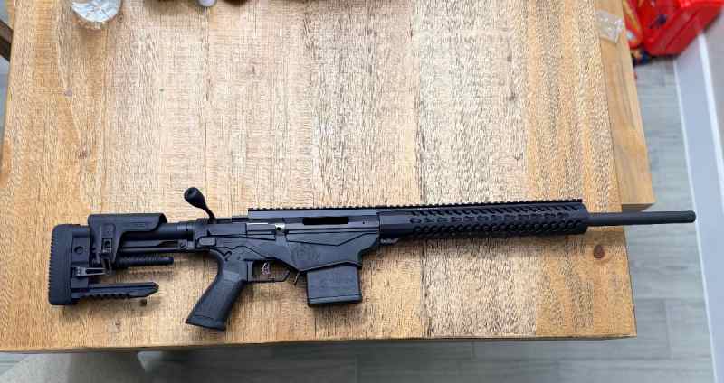 Ruger precision 308