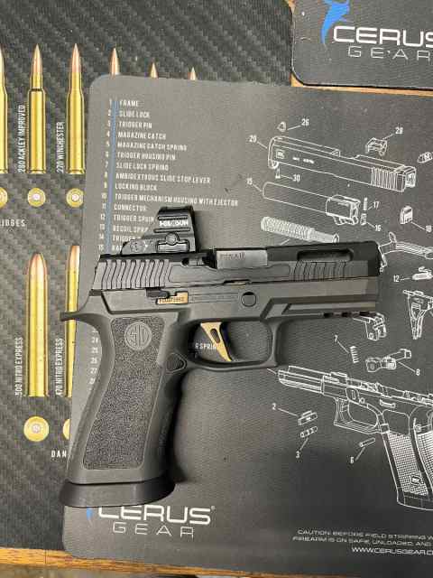 Sig custom works P320 X carry TXG Holosun