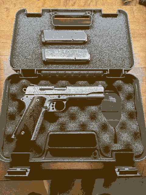 Smith and Wesson E-Series 1911 .45