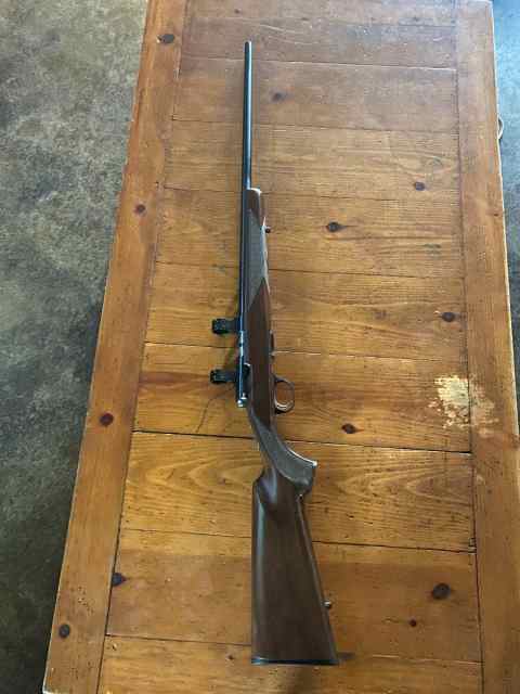 Browning Tbolt 22 mag