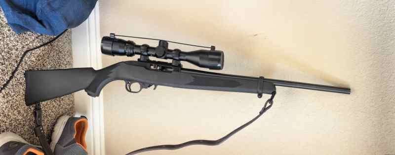 New Ruger 10/22 w/Bushnel Banner