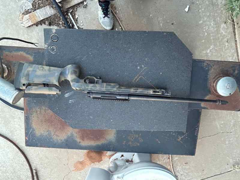 Savage 308 