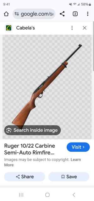 Looking for a ruger 10/22