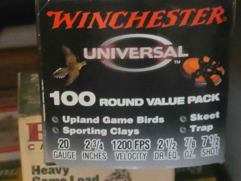 Winchester 20 Gauge 7 1/2 shot