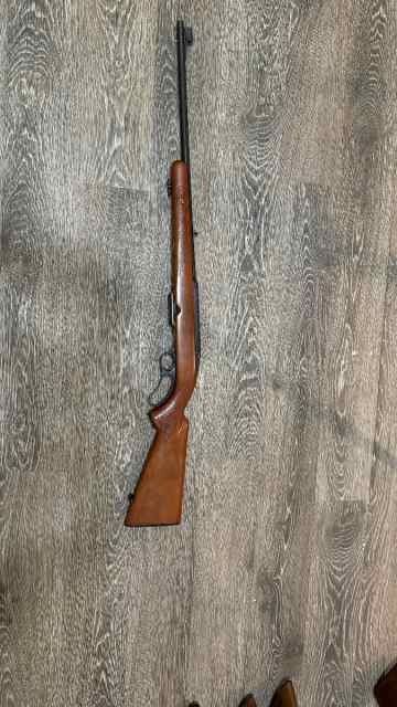 Winchester model 88 in 308