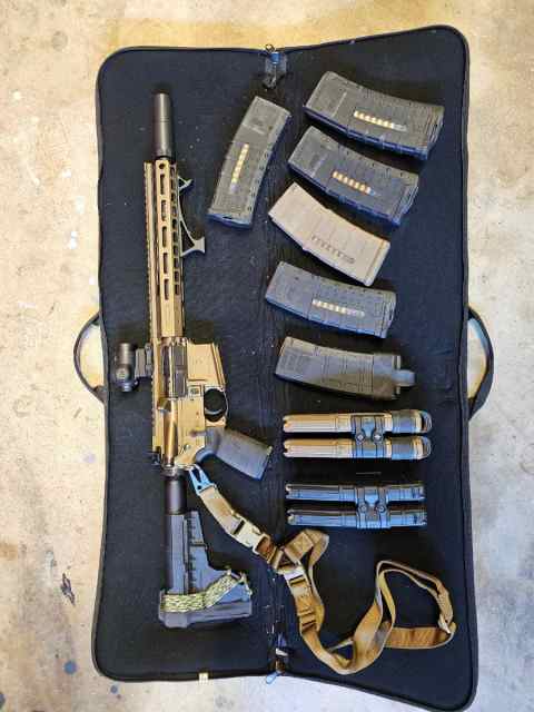 Brace Built AR15 multi caliber